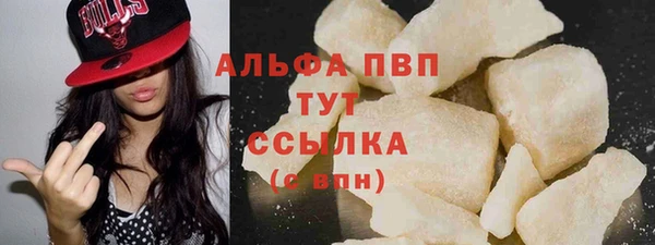 стафф Алзамай