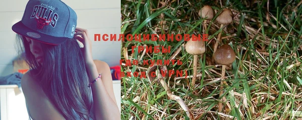 тгк Алексеевка