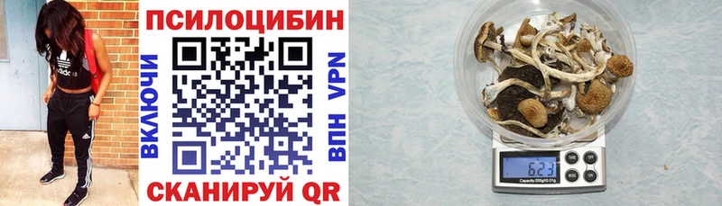 Псилоцибиновые грибы MAGIC MUSHROOMS  Ветлуга 