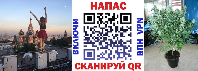 Бошки Шишки Bruce Banner  Ветлуга 